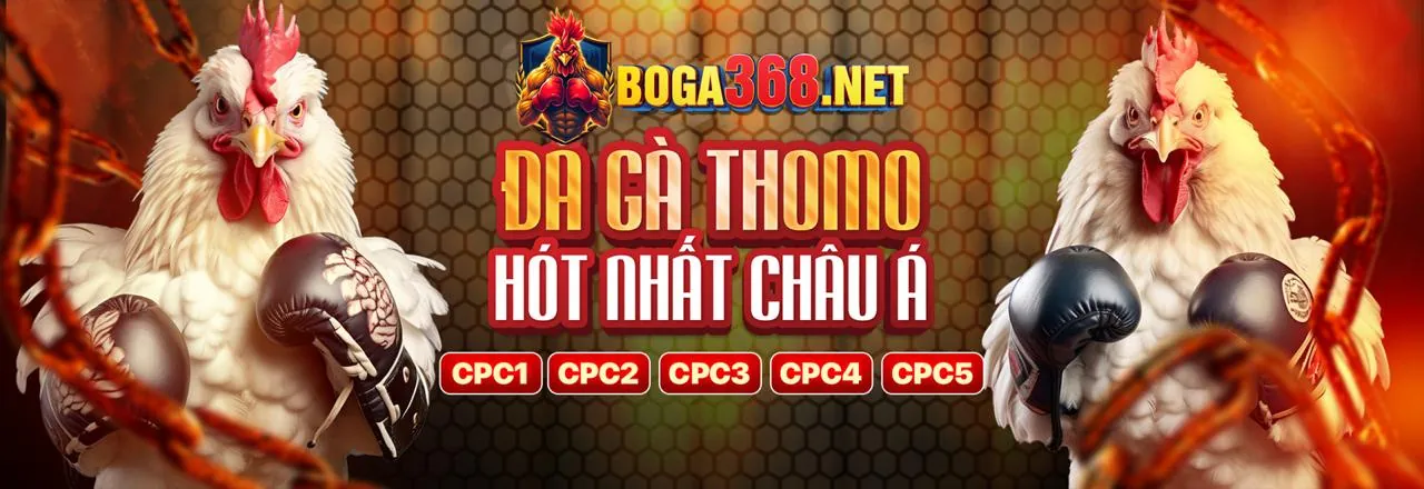 Hello88 Mom và trách nhiệm cờ bạc